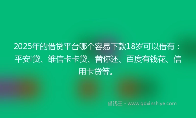2025年的借贷平台哪个容易下款18岁可以借有：平安i贷、维信卡卡贷、替你还、百度有钱花、信用卡贷等。