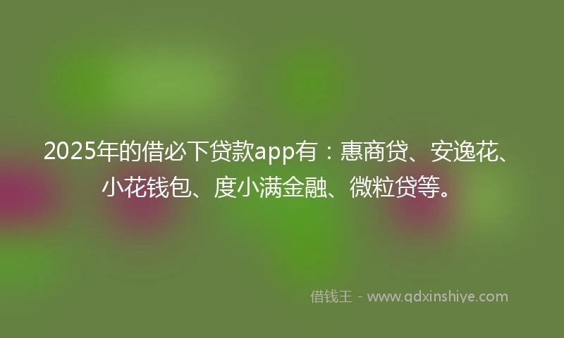 2025年的借必下贷款app有：惠商贷、安逸花、小花钱包、度小满金融、微粒贷等。