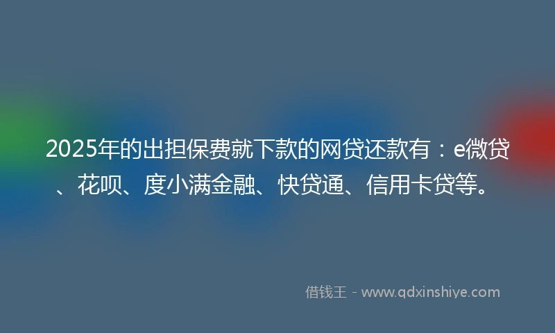 2025年的出担保费就下款的网贷还款有：e微贷、花呗、度小满金融、快贷通、信用卡贷等。