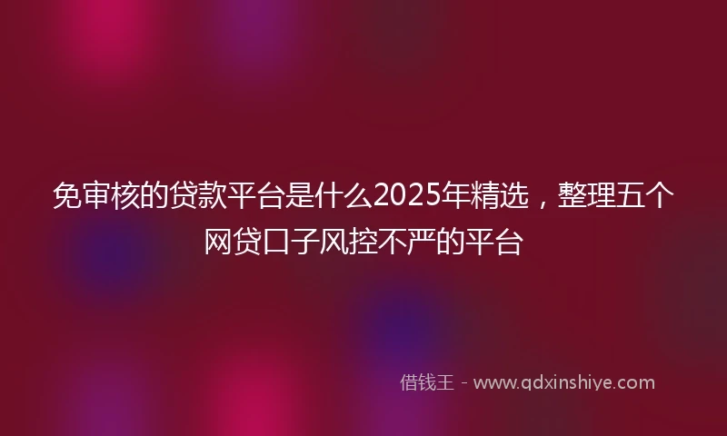免审核的贷款平台是什么2025年精选，整理五个网贷口子风控不严的平台