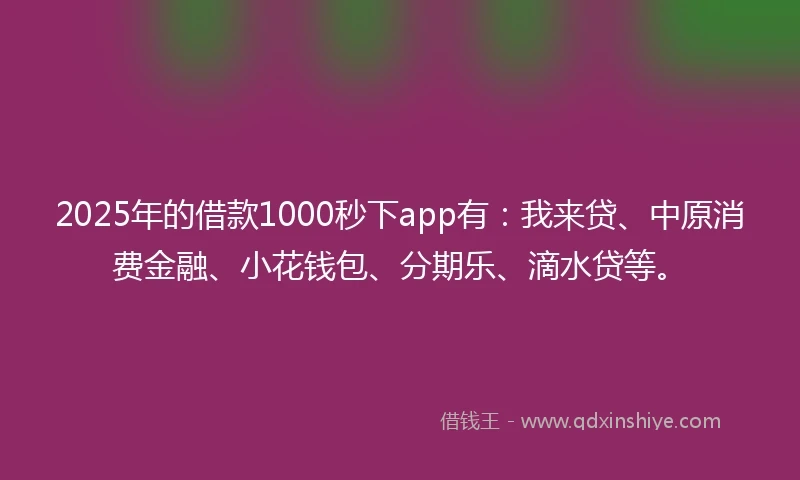 2025年的借款1000秒下app有：我来贷、中原消费金融、小花钱包、分期乐、滴水贷等。