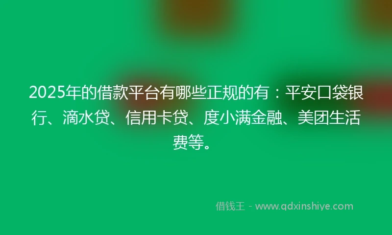2025年的借款平台有哪些正规的有：平安口袋银行、滴水贷、信用卡贷、度小满金融、美团生活费等。
