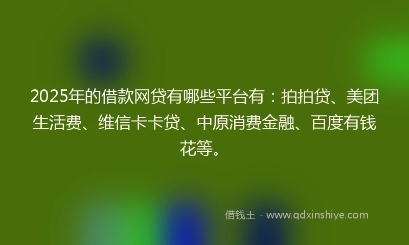 2025年的借款网贷有哪些平台有：拍拍贷、美团生活费、维信卡卡贷、中原消费金融、百度有钱花等。