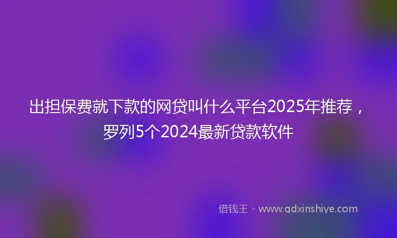 出担保费就下款的网贷叫什么平台2025年推荐，罗列5个2024最新贷款软件