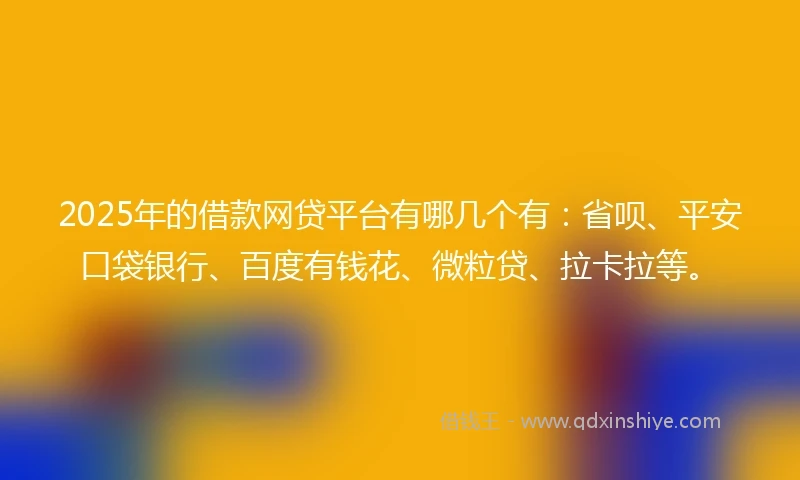 2025年的借款网贷平台有哪几个有：省呗、平安口袋银行、百度有钱花、微粒贷、拉卡拉等。