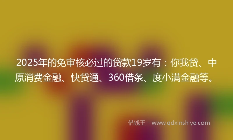 2025年的免审核必过的贷款19岁有：你我贷、中原消费金融、快贷通、360借条、度小满金融等。
