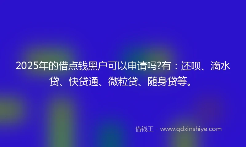 2025年的借点钱黑户可以申请吗?有：还呗、滴水贷、快贷通、微粒贷、随身贷等。