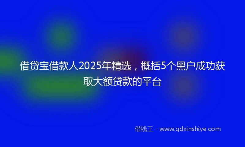 借贷宝借款人2025年精选，概括5个黑户成功获取大额贷款的平台