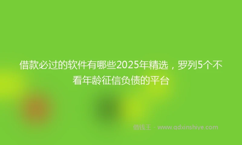 借款必过的软件有哪些2025年精选，罗列5个不看年龄征信负债的平台