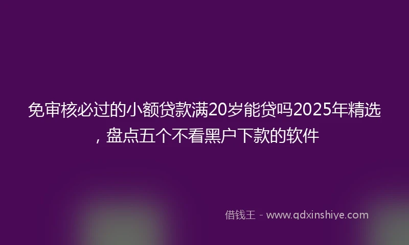 免审核必过的小额贷款满20岁能贷吗2025年精选，盘点五个不看黑户下款的软件