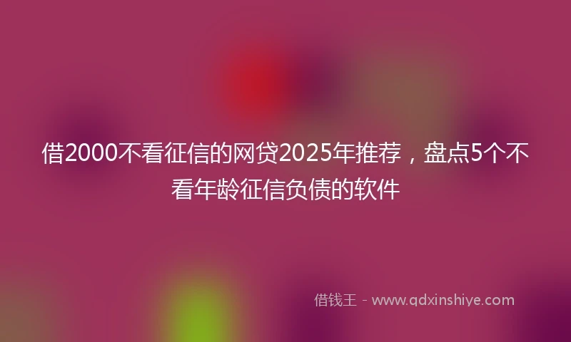 借2000不看征信的网贷2025年推荐,盘点5个不看年龄征信负债的软件