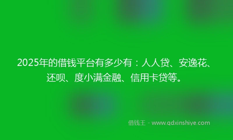 2025年的借钱平台有多少有：人人贷、安逸花、还呗、度小满金融、信用卡贷等。