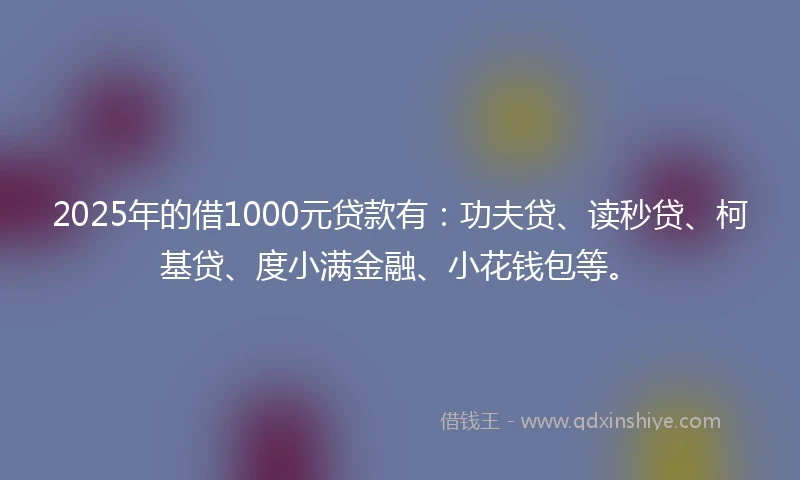 2025年的借1000元贷款有：功夫贷、读秒贷、柯基贷、度小满金融、小花钱包等。