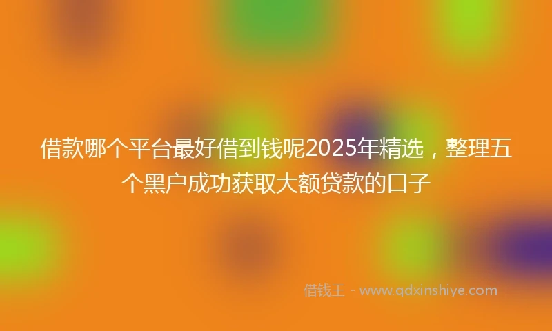 借款哪个平台最好借到钱呢2025年精选，整理五个黑户成功获取大额贷款的口子