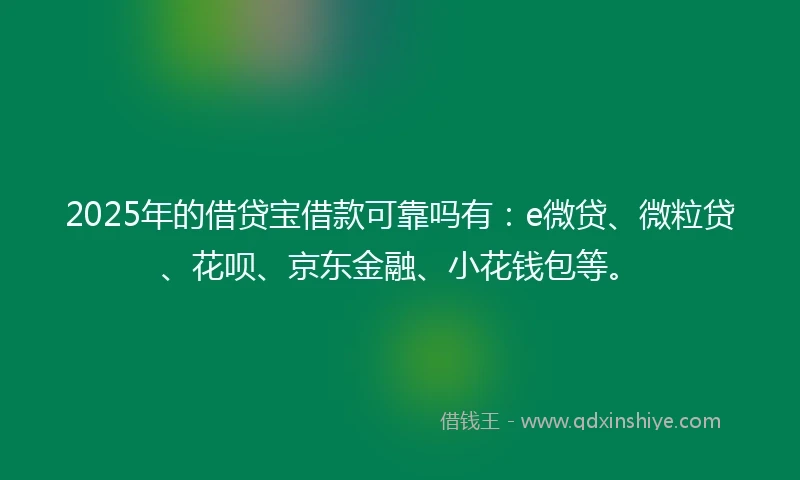 2025年的借贷宝借款可靠吗有：e微贷、微粒贷、花呗、京东金融、小花钱包等。