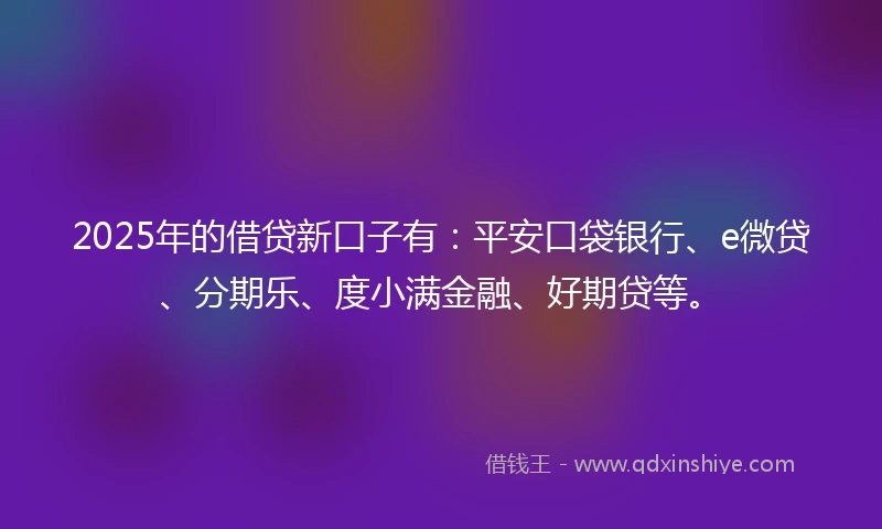2025年的借贷新口子有：平安口袋银行、e微贷、分期乐、度小满金融、好期贷等。