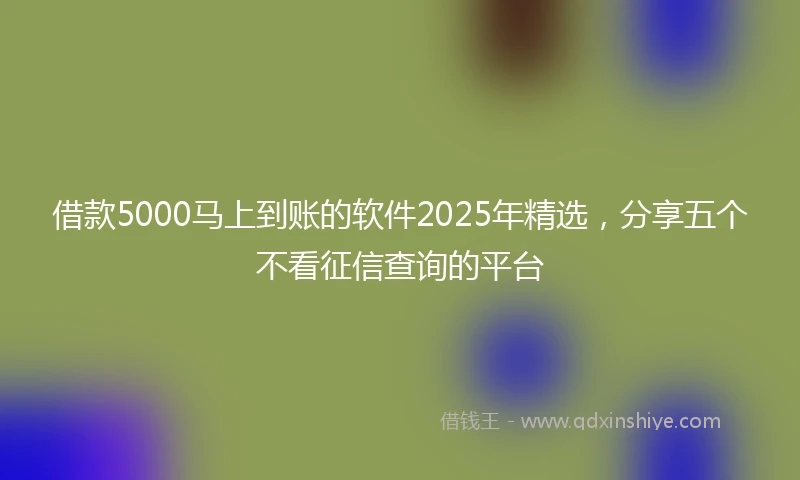 借款5000马上到账的软件2025年精选，分享五个不看征信查询的平台