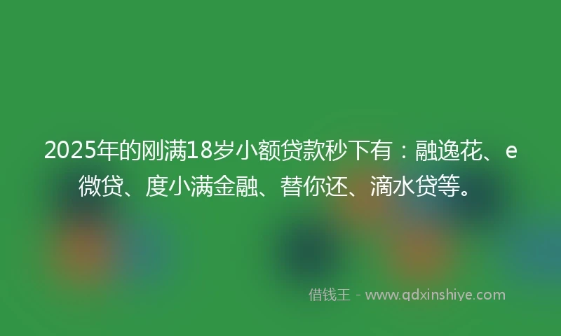 2025年的刚满18岁小额贷款秒下有：融逸花、e微贷、度小满金融、替你还、滴水贷等。