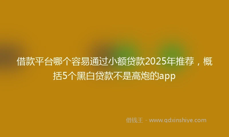 借款平台哪个容易通过小额贷款2025年推荐，概括5个黑白贷款不是高炮的app