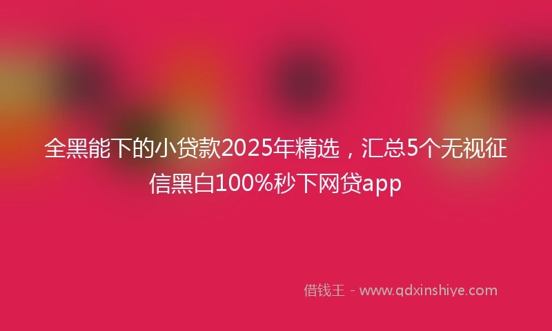 全黑能下的小贷款2025年精选，汇总5个无视征信黑白100%秒下网贷app