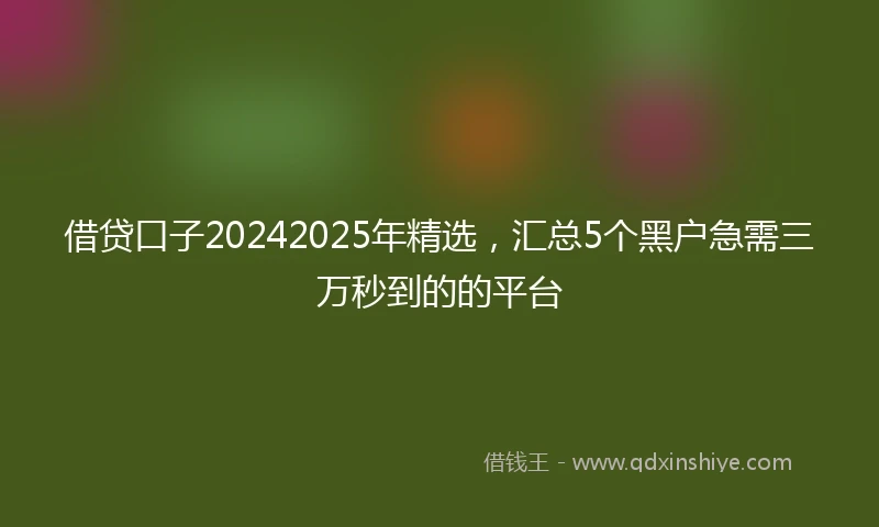 借贷口子20242025年精选，汇总5个黑户急需三万秒到的的平台