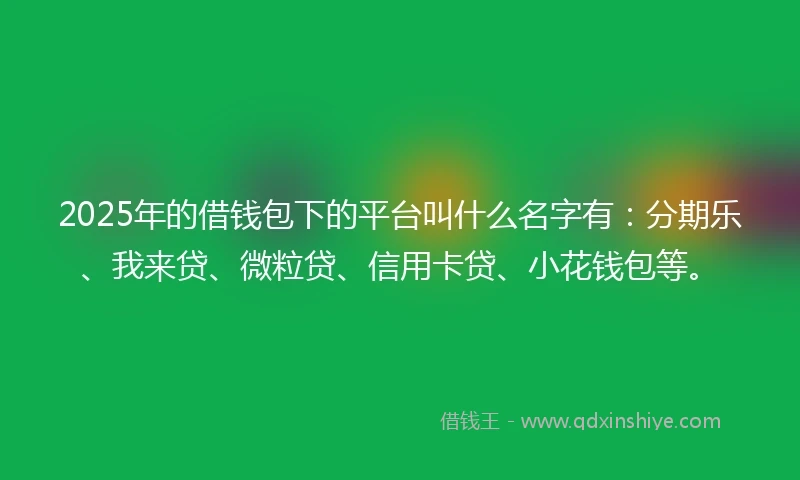 2025年的借钱包下的平台叫什么名字有：分期乐、我来贷、微粒贷、信用卡贷、小花钱包等。