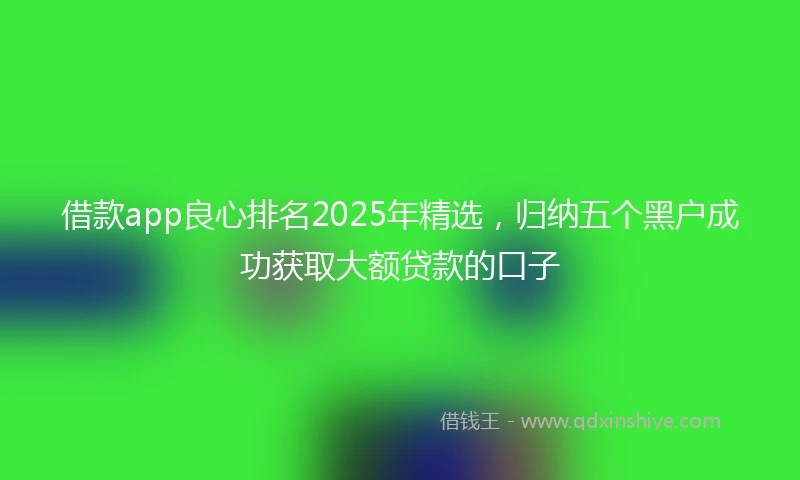 借款app良心排名2025年精选，归纳五个黑户成功获取大额贷款的口子