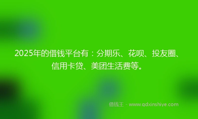 2025年的借钱平台有：分期乐、花呗、投友圈、信用卡贷、美团生活费等。