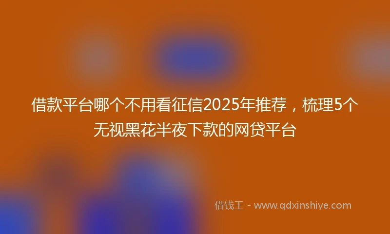 借款平台哪个不用看征信2025年推荐，梳理5个无视黑花半夜下款的网贷平台