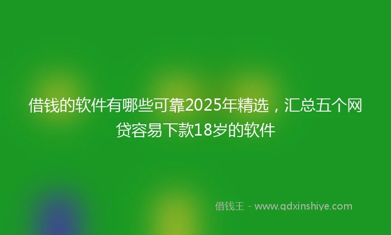 借钱的软件有哪些可靠2025年精选，汇总五个网贷容易下款18岁的软件