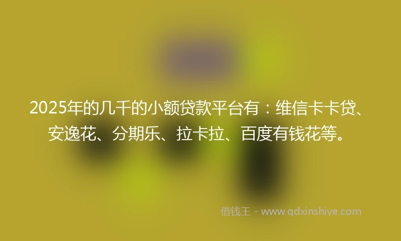2025年的几千的小额贷款平台有：维信卡卡贷、安逸花、分期乐、拉卡拉、百度有钱花等。