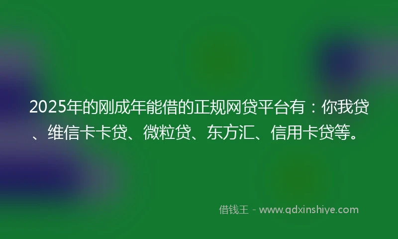 2025年的刚成年能借的正规网贷平台有：你我贷、维信卡卡贷、微粒贷、东方汇、信用卡贷等。