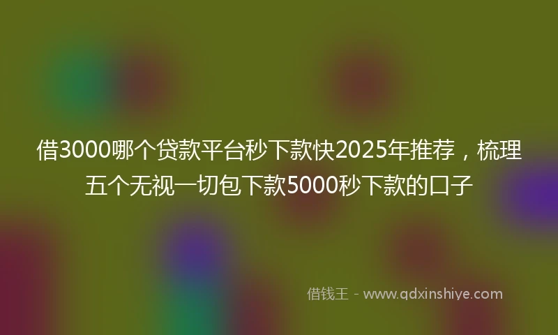 借3000哪个贷款平台秒下款快2025年推荐,梳理五个无视一切包下款5000秒下款的口子