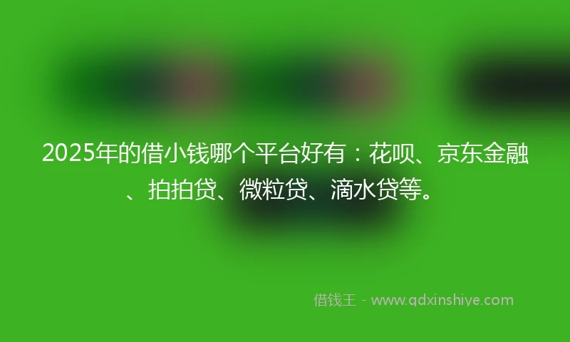 2025年的借小钱哪个平台好有：花呗、京东金融、拍拍贷、微粒贷、滴水贷等。