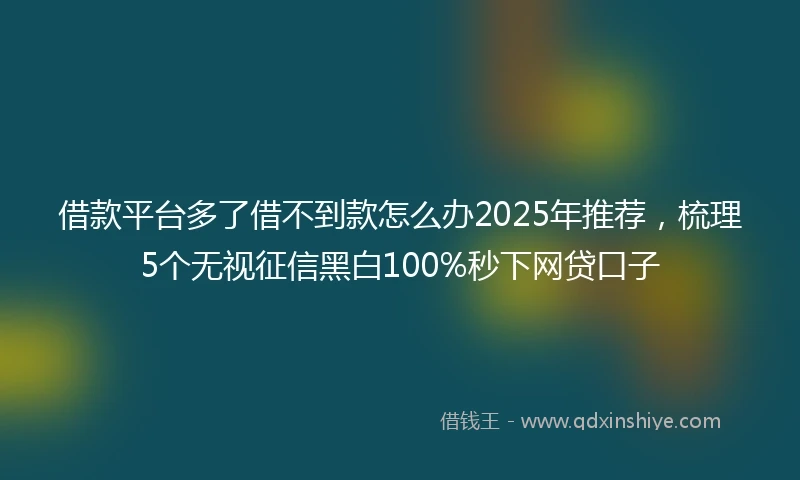 借款平台多了借不到款怎么办2025年推荐，梳理5个无视征信黑白100%秒下网贷口子