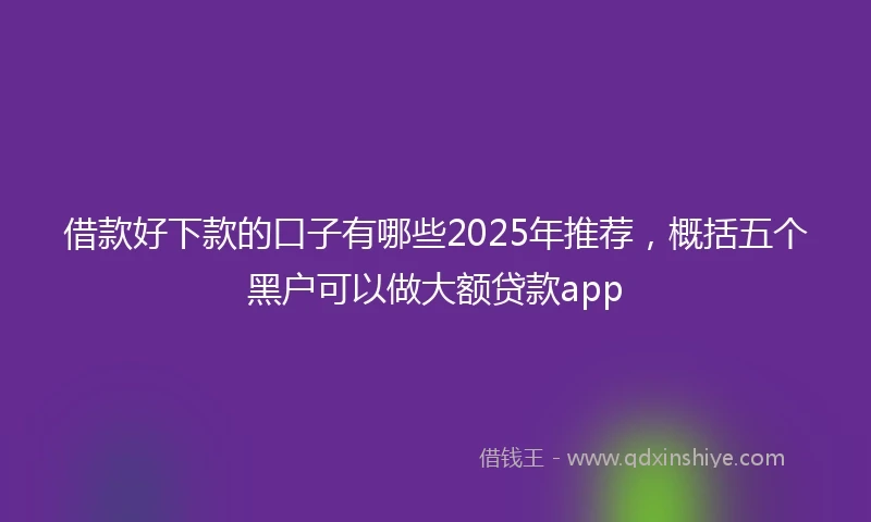 借款好下款的口子有哪些2025年推荐，概括五个黑户可以做大额贷款app