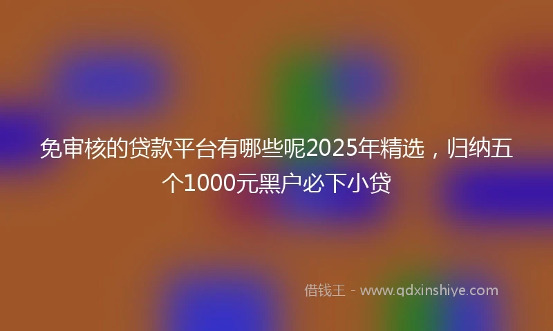 免审核的贷款平台有哪些呢2025年精选，归纳五个1000元黑户必下小贷