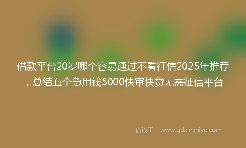 借款平台20岁哪个容易通过不看征信2025年推荐,总结五个急用钱5000快审快贷无需征信平台