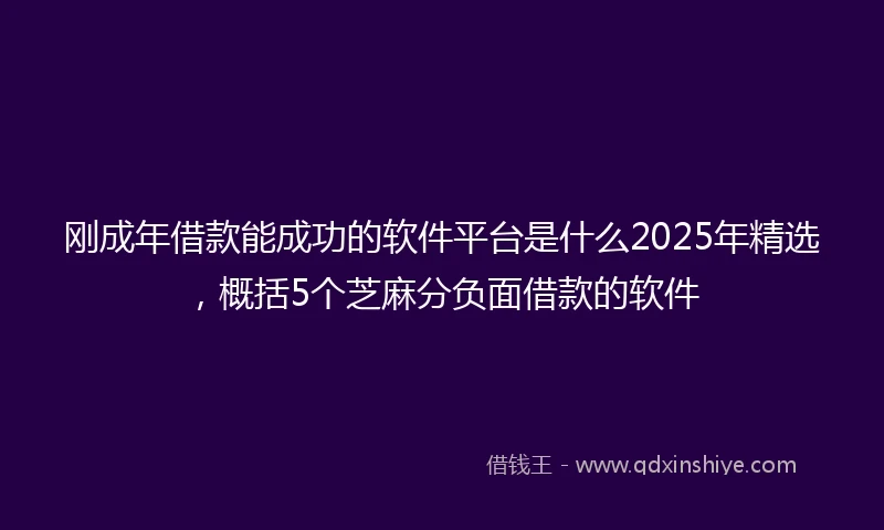 刚成年借款能成功的软件平台是什么2025年精选，概括5个芝麻分负面借款的软件