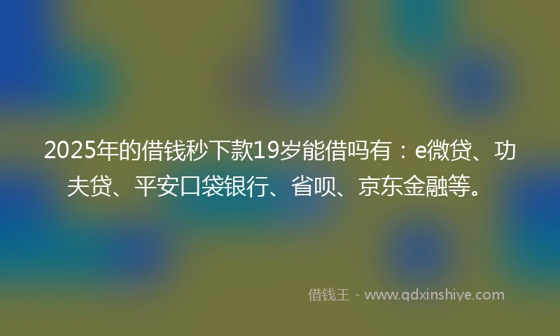2025年的借钱秒下款19岁能借吗有：e微贷、功夫贷、平安口袋银行、省呗、京东金融等。
