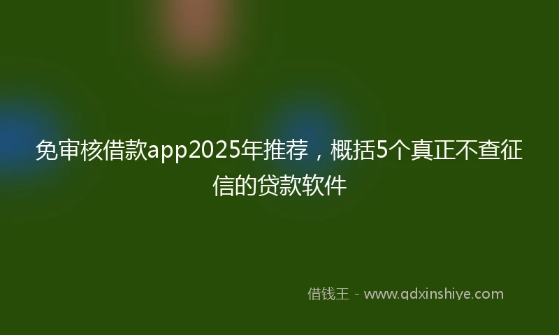 免审核借款app2025年推荐，概括5个真正不查征信的贷款软件