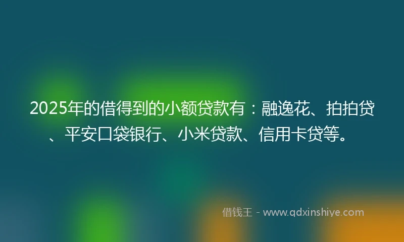 2025年的借得到的小额贷款有：融逸花、拍拍贷、平安口袋银行、小米贷款、信用卡贷等。