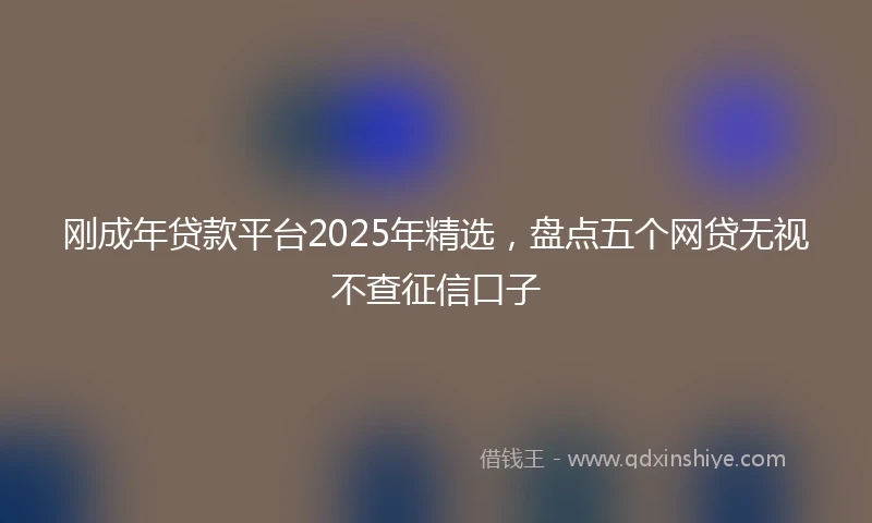 刚成年贷款平台2025年精选，盘点五个网贷无视不查征信口子