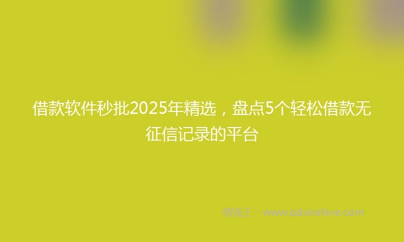 借款软件秒批2025年精选，盘点5个轻松借款无征信记录的平台