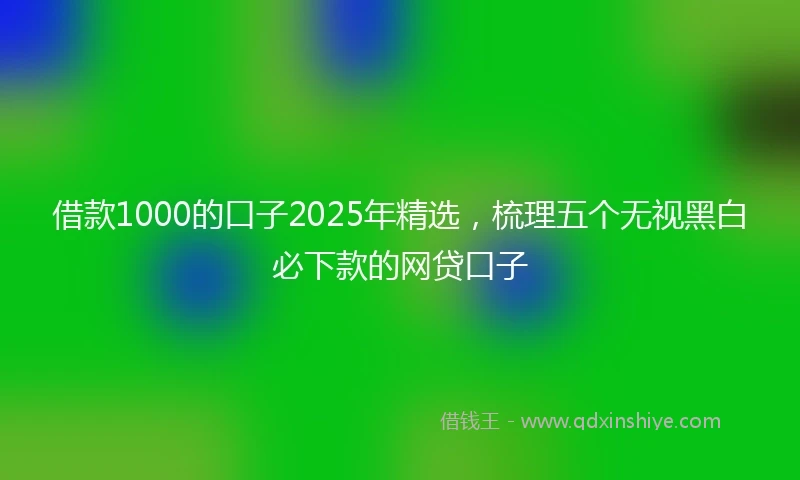 借款1000的口子2025年精选，梳理五个无视黑白必下款的网贷口子