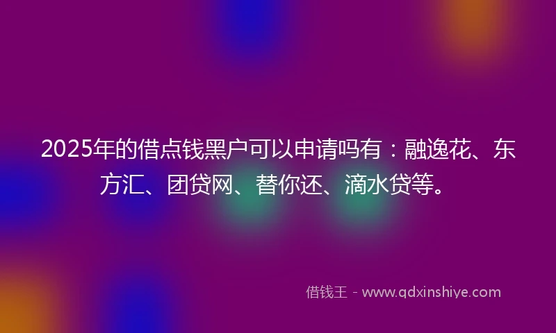 2025年的借点钱黑户可以申请吗有：融逸花、东方汇、团贷网、替你还、滴水贷等。