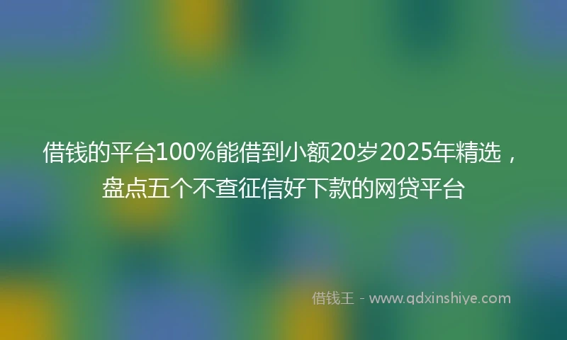 借钱的平台100%能借到小额20岁2025年精选，盘点五个不查征信好下款的网贷平台
