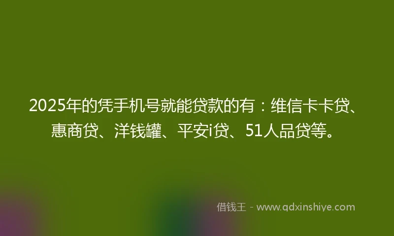2025年的凭手机号就能贷款的有：维信卡卡贷、惠商贷、洋钱罐、平安i贷、51人品贷等。