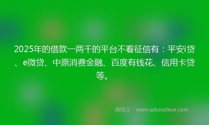 2025年的借款一两千的平台不看征信有：平安i贷、e微贷、中原消费金融、百度有钱花、信用卡贷等。