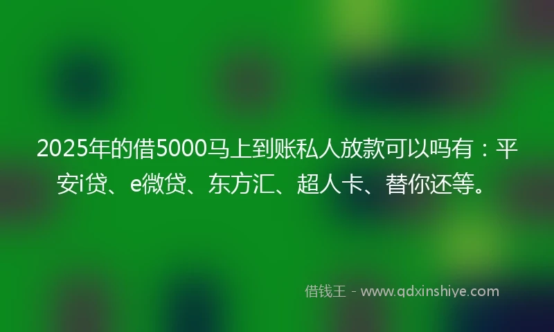 2025年的借5000马上到账私人放款可以吗有：平安i贷、e微贷、东方汇、超人卡、替你还等。